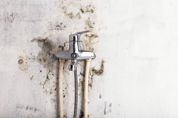 Best HVAC Mold Remediation in Garden Plain, KS