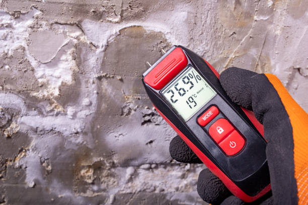 Best Attic Mold Remediation in Garden Plain, KS